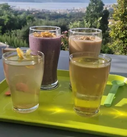 Casa Lc Chambre3 Vue De Nage بيت ضيافة أجاكسيو